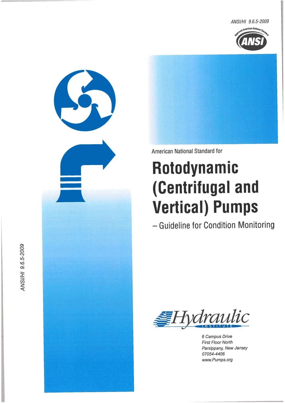 ANSI∕HI 9.6.5-2009.pdf_第1页
