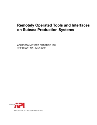 API RP 17H-2019.pdf