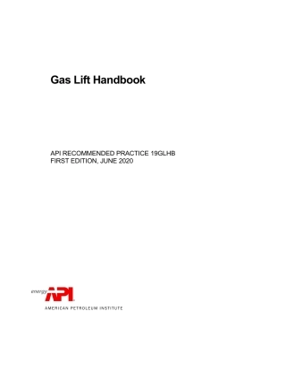 API RP 19GLHB-2020.pdf