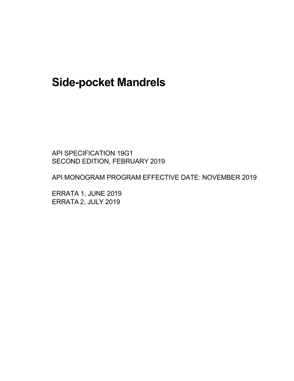 API Spec 19G1-2019.pdf_第2页