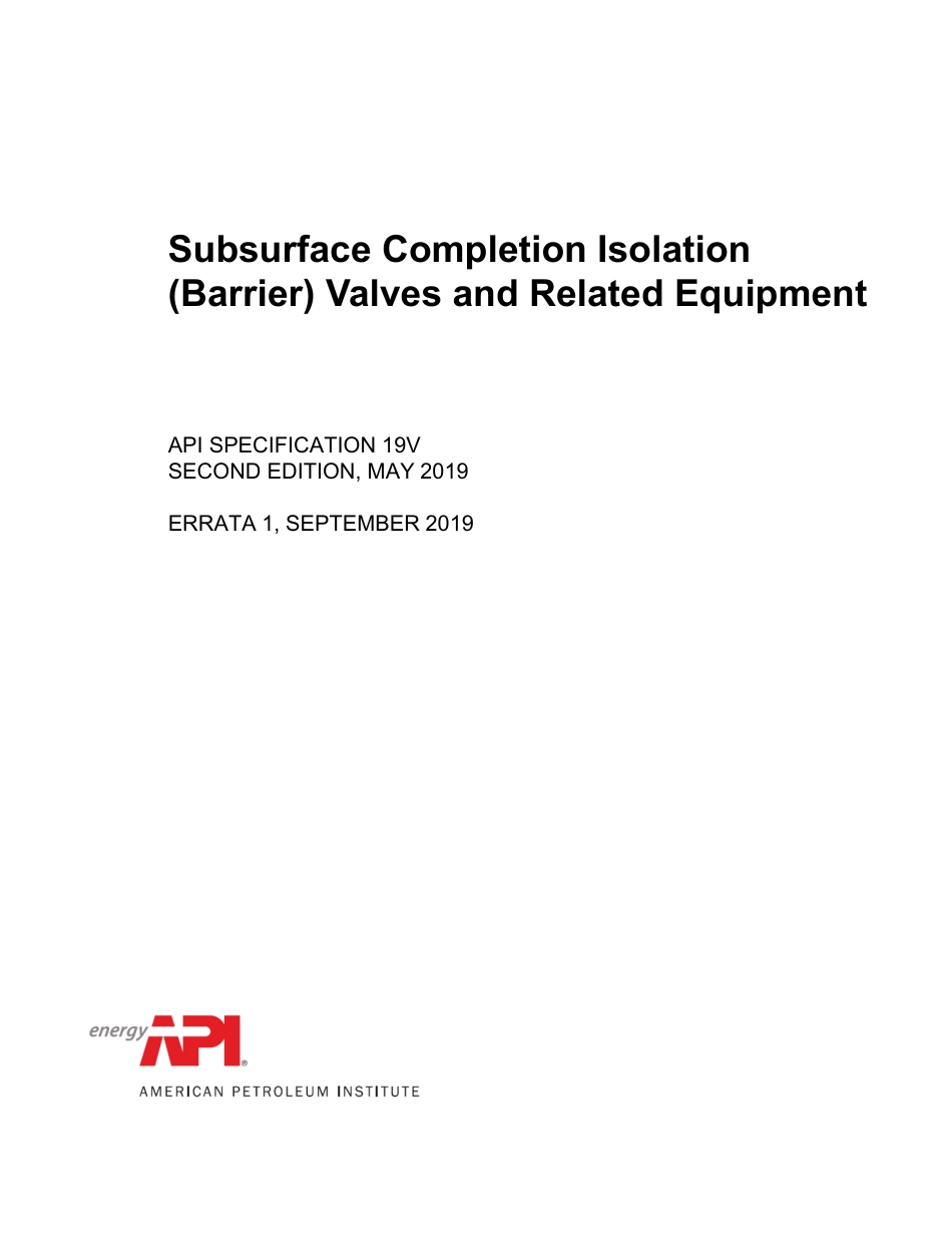 API Spec 19V-2019.pdf_第2页