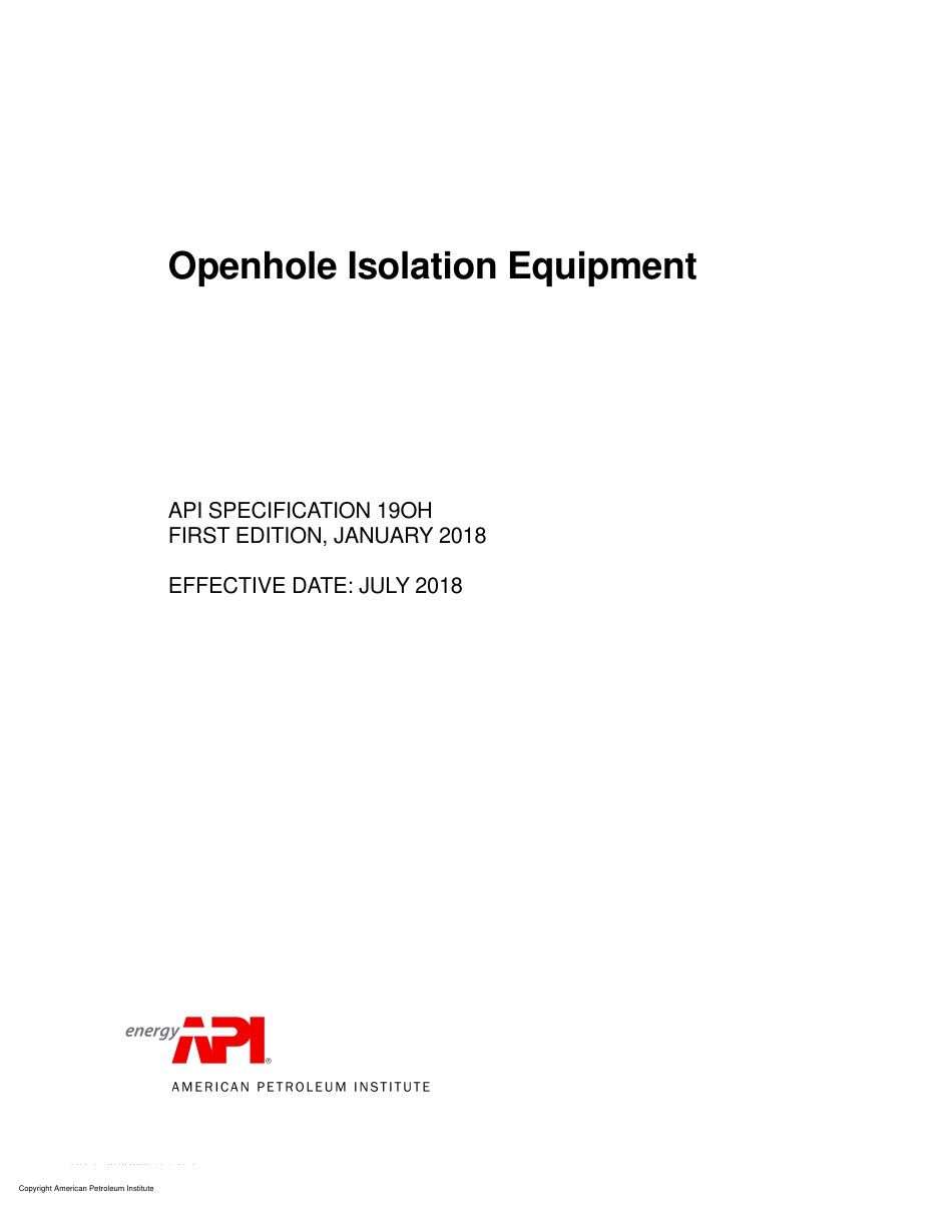API 19OH=2018.pdf_第1页