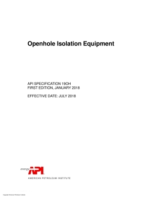 API 19OH=2018.pdf