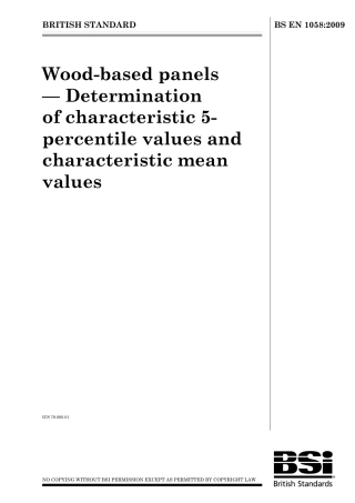BS EN 01058-2009.pdf