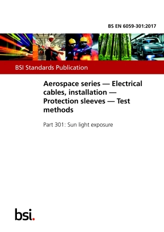 BS EN 06059-301-2017.pdf