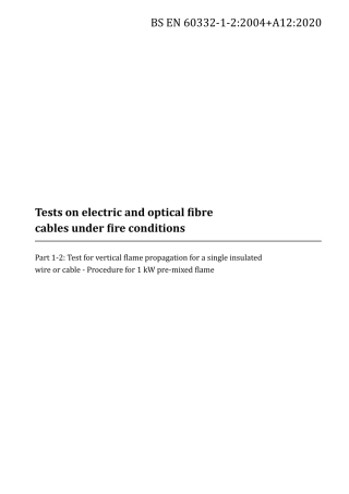 BS EN 60332-1-2-2004 + A12-2020.pdf