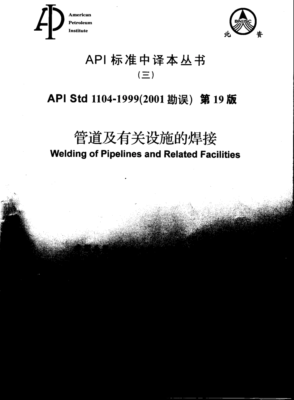 API CHINESE.pdf_第1页