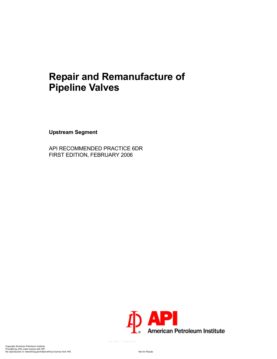 API RP 6DR-2006.pdf_第3页