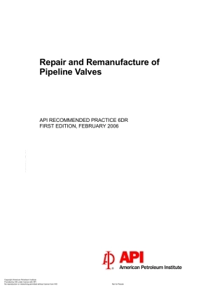 API RP 6DR-2006.pdf