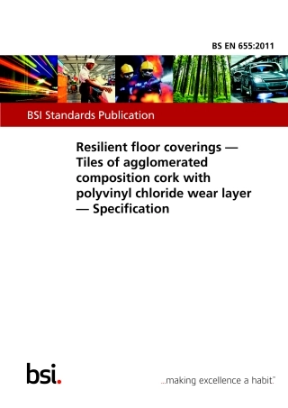 BS EN 00655-2011.pdf