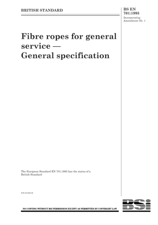 BS EN 00701-1995 (1999).pdf