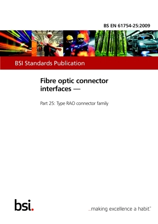 BS EN 61754-25-2009.pdf