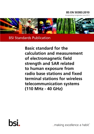 BS EN 50383-2010 (2013).pdf