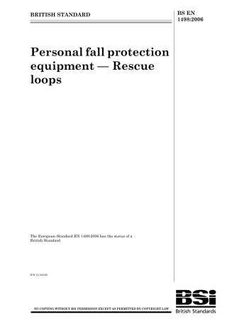 BS EN 01498-2006.pdf