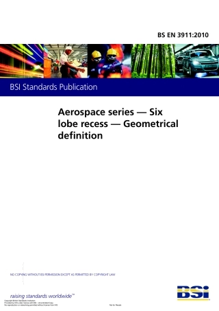 BS EN 03911-2010.pdf