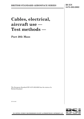 BS EN 03475-202-2002.pdf