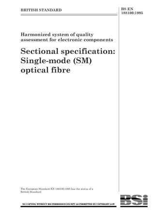 BS EN 188100-1995 (1999).pdf