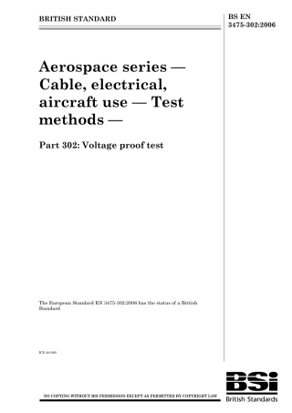 BS EN 03475-302-2006.pdf