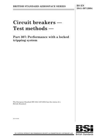 BS EN 03841-307-2004.pdf