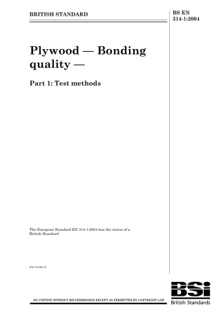 BS EN 00314-1-2004.pdf