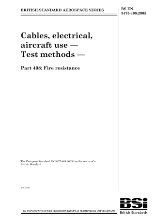 BS EN 03475-408-2005.pdf