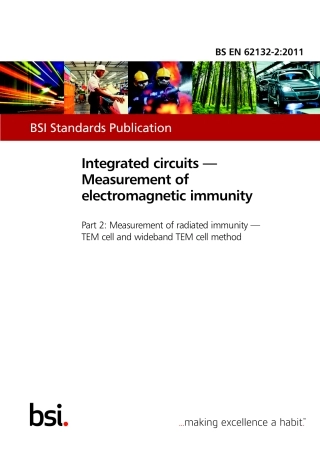 BS EN 62132-2-2011.pdf
