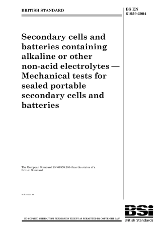 BS EN 61959-2004.pdf