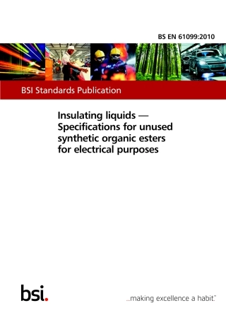 BS EN 61099-2010.pdf