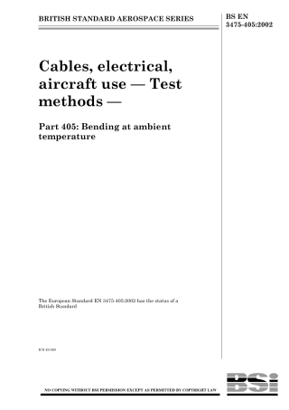 BS EN 03475-405-2002.pdf