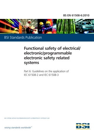 BS EN 61508-6-2010.pdf