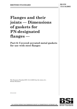 BS EN 01514-6-2003.pdf