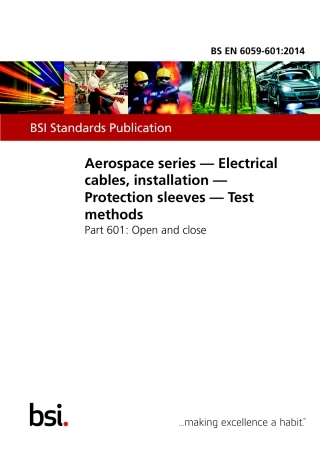 BS EN 06059-601-2014.pdf