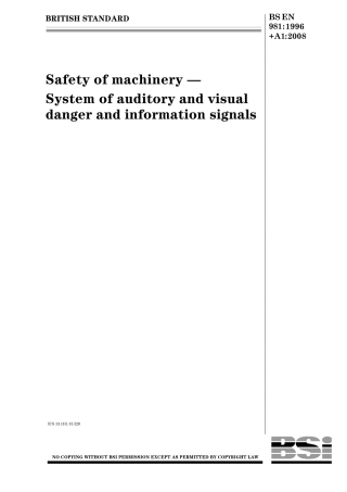BS EN 00981-1996 + A1-2008.pdf