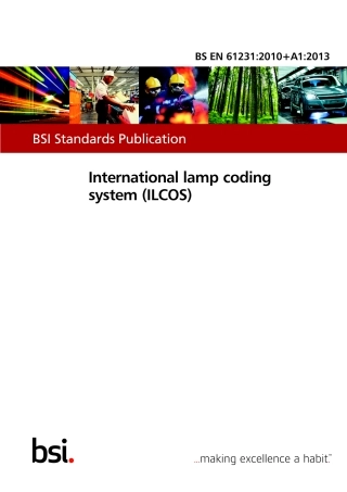 BS EN 61231-2010 + A1-2013.pdf