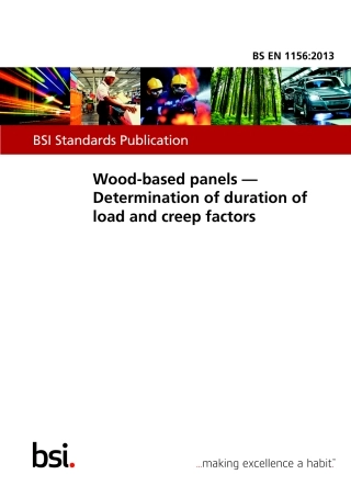 BS EN 01156-2013.pdf