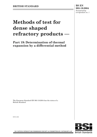 BS EN 00993-19-2004 (2007).pdf