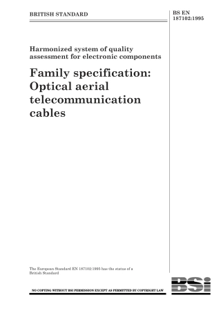 BS EN 187102-1995 (1999).pdf