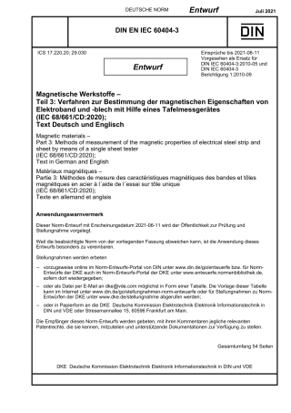 DIN_EN_IEC_60404-3_E__2021-07.pdf