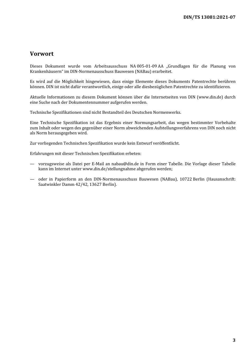 DIN_TS_13081__2021-07.pdf_第3页