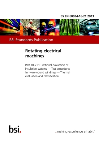 BS EN 60034-18-21-2013.pdf