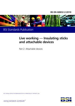BS EN 60832-2-2010.pdf