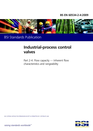 BS EN 60534-2-4-2009.pdf