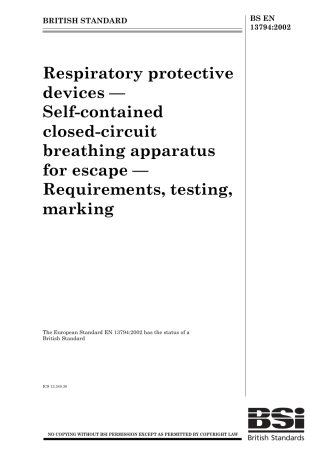 BS EN 13794-2002.pdf