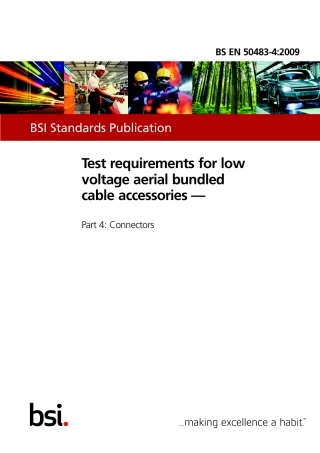 BS EN 50483-4-2009.pdf