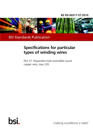 BS EN 60317-57-2010.pdf