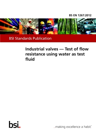 BS EN 01267-2012.pdf
