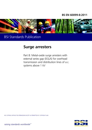 BS EN 60099-8-2011.pdf