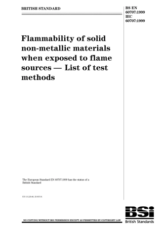BS EN 60707-1999.pdf