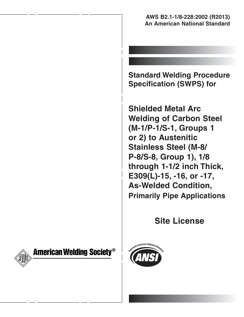 AWS B2.1-1 - 8-228-2002 (2013).pdf_第1页