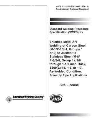 AWS B2.1-1 - 8-228-2002 (2013).pdf